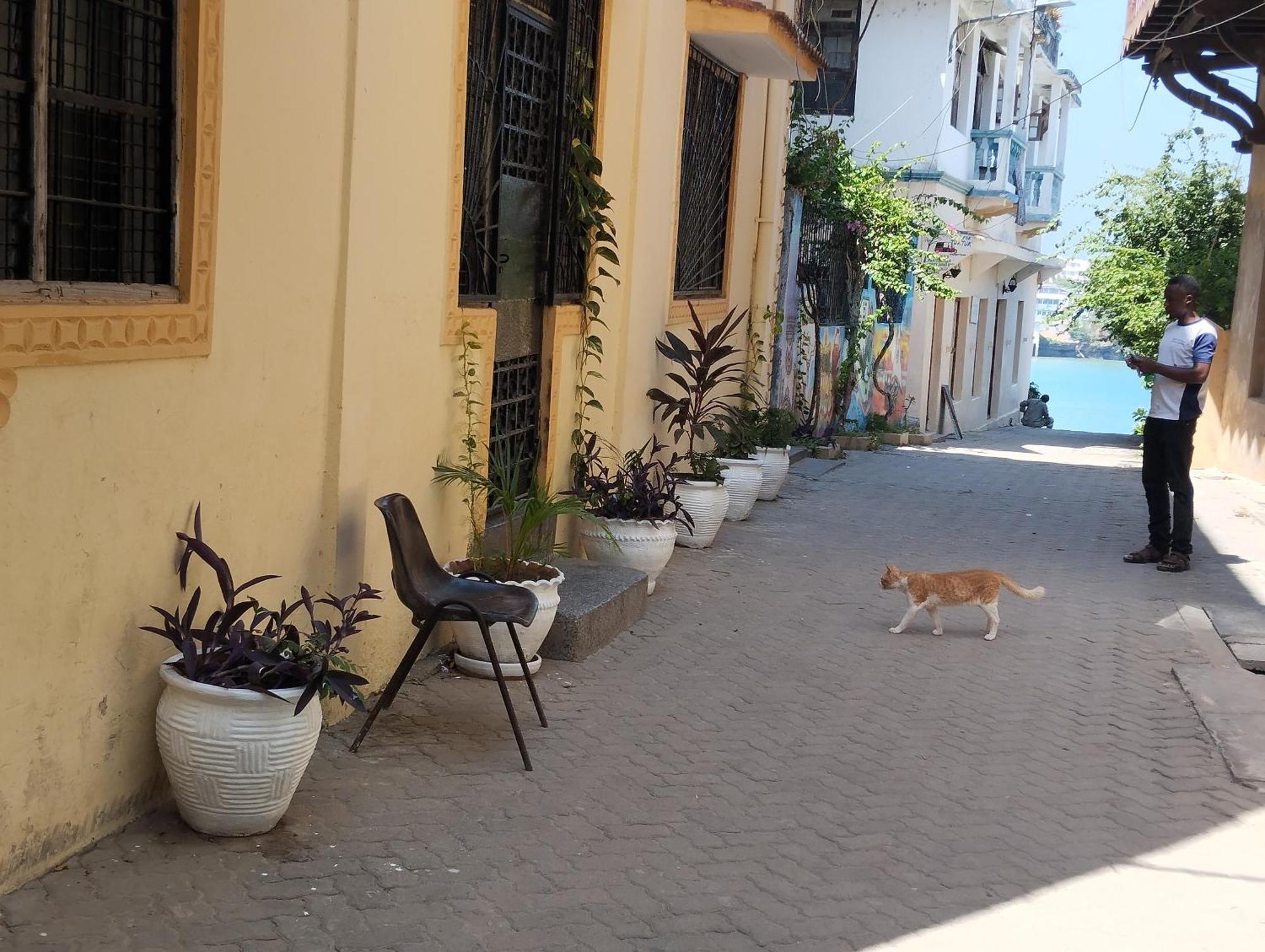 Mombasa Comfort House, Old Town Екстериор снимка
